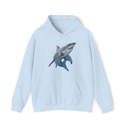 Shark Art Illustration Hoodie