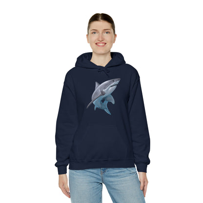 Shark Art Illustration Hoodie