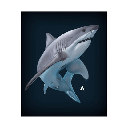 Shark Art illustration Poster