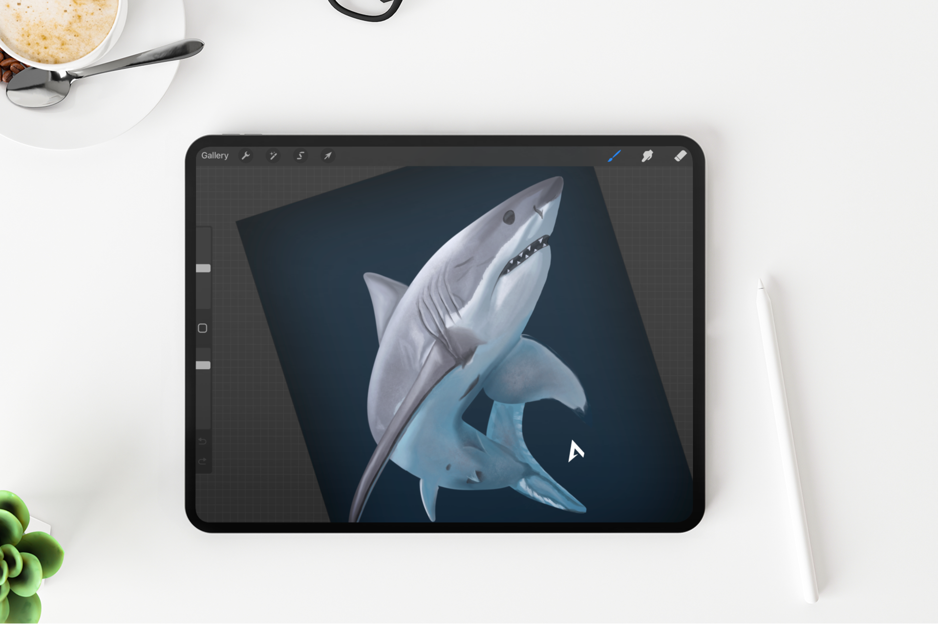 Digital illustration shark drawn by an artist in procreate in an iPad